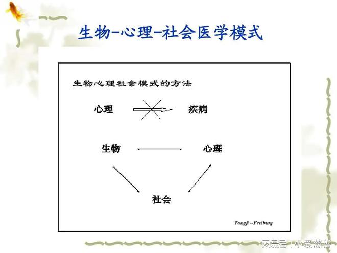 影响健康的主要因素1xbet体育(图2)