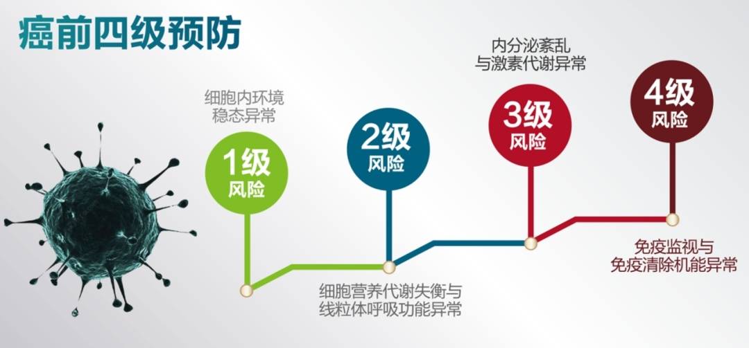 肠道生态平衡疗法：恩次方的新型健康1xbet体育管理探索(图4)