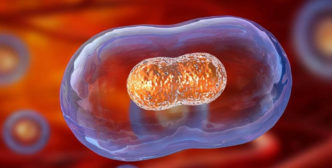 1xbet体育医学前沿健康引领：探秘中瑞恩次方的健康密码(图1)