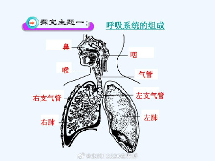 全部导航