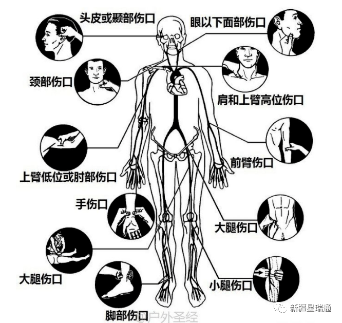 急救医疗小知识(图3)